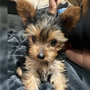 Meet your Posher, Kimberly